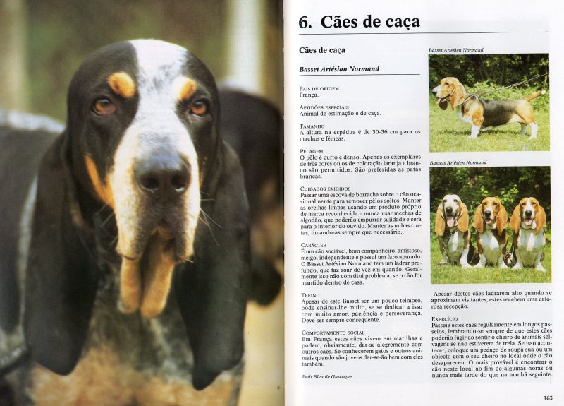 Enciclopédia dos Cães ( Imagem 2 de 4 ) - Preview