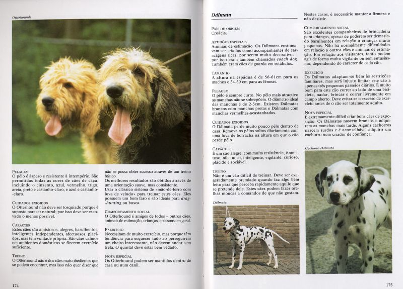 Enciclopédia dos Cães ( Imagem 3 de 4 ) - Preview