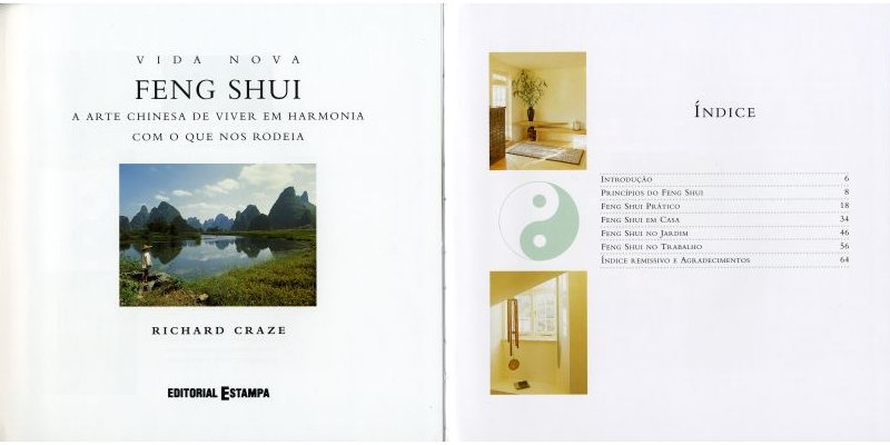 Feng Shui ( Imagem 3 de 4 ) - Preview
