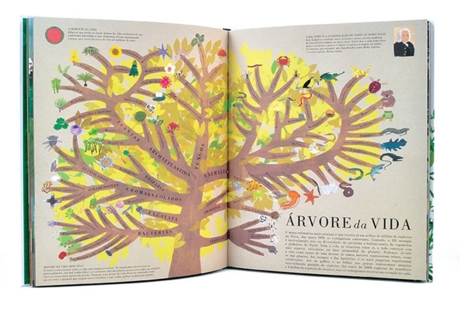 O Livro da Terra ( Imagem 3 de 4 ) - Preview