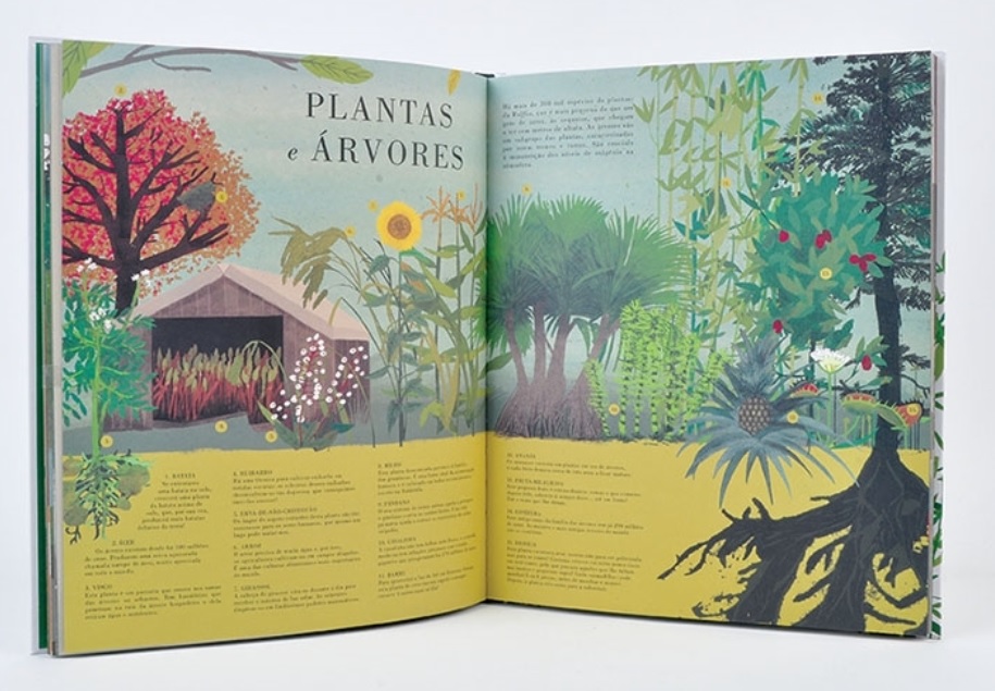O Livro da Terra ( Imagem 4 de 4 ) - Preview