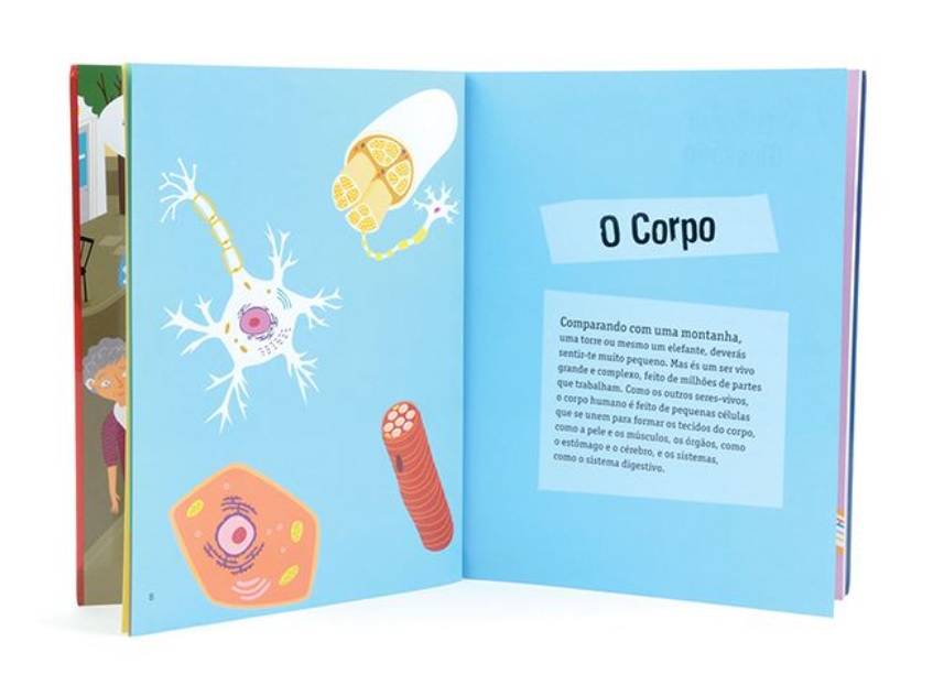 O Corpo Humano em 30 Segundos ( Imagem 3 de 3 ) - Preview