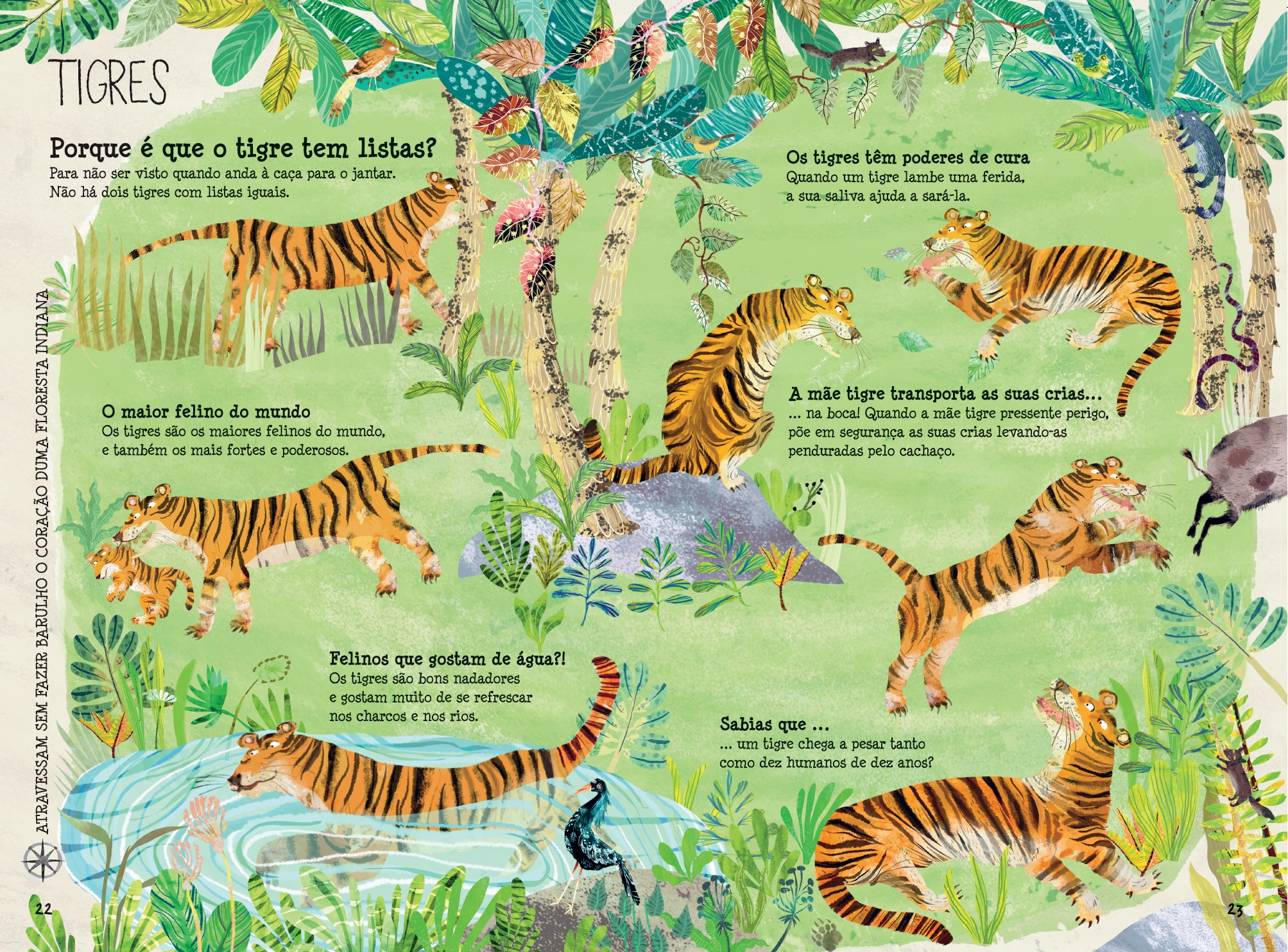 O Grande Livro dos Animais ( Imagem 4 de 4 ) - Preview