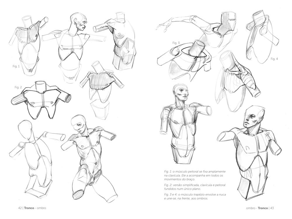 Anatomia Artística 2 ( Imagem 3 de 4 ) - Preview
