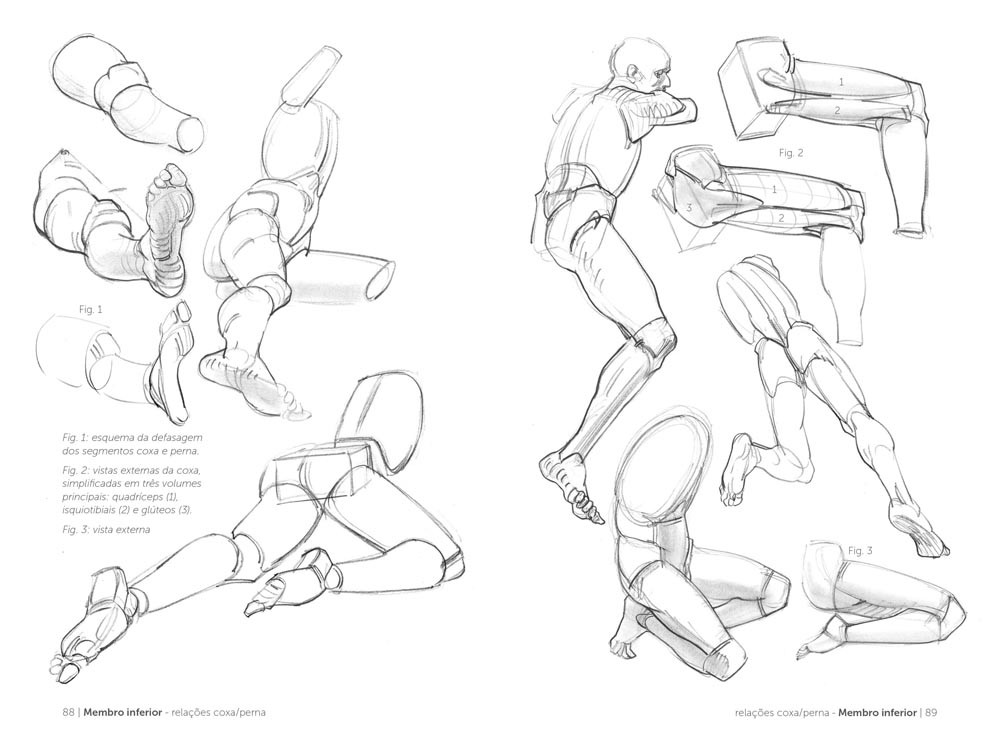 Anatomia Artística 2 ( Imagem 4 de 4 ) - Preview