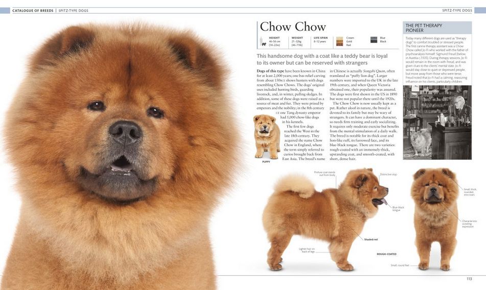 The Dog Encyclopedia ( Imagem 3 de 4 ) - Preview