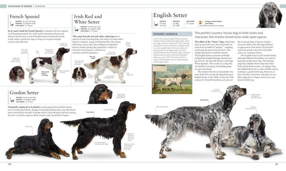 The Dog Encyclopedia ( Imagem 4 de 4 ) - Preview