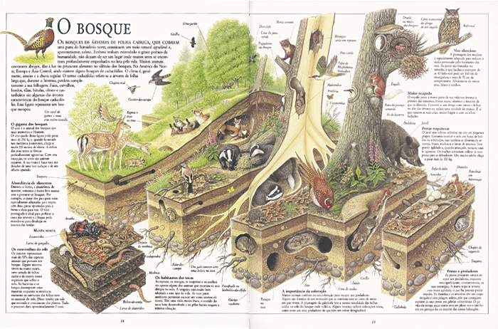Ver por Dentro - A Natureza ( Imagem 2 de 2 ) - Preview