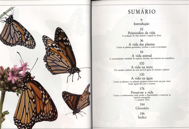 O Mundo Vivo ( Imagem 2 de 4 ) - Preview
