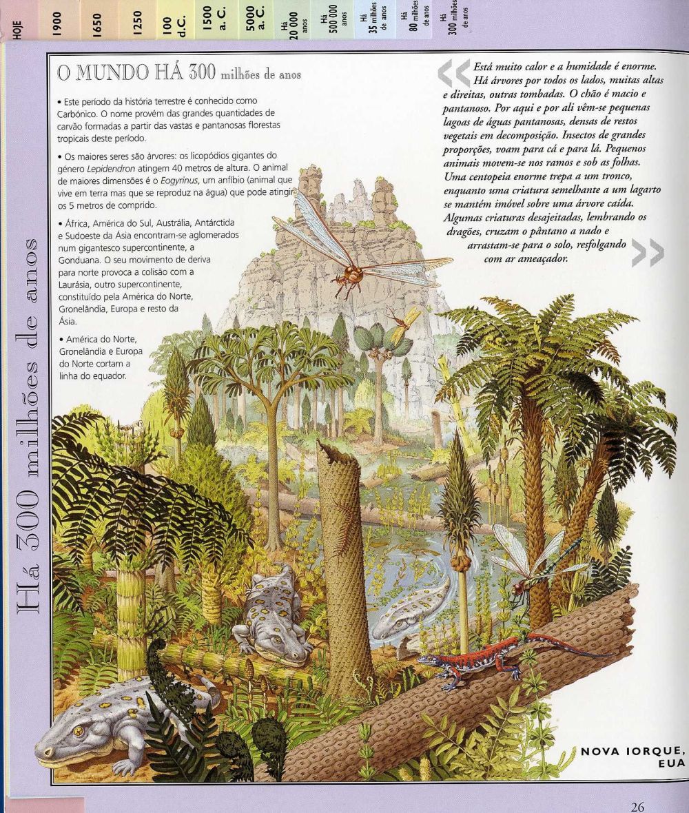 A Incrível Viagem ao Princípio do Tempo ( Imagem 2 de 3 ) - Preview