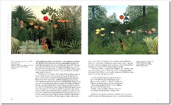 Rousseau ( Imagem 3 de 4 ) - Preview