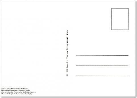 Jungles ( Imagem 3 de 3 ) - Preview