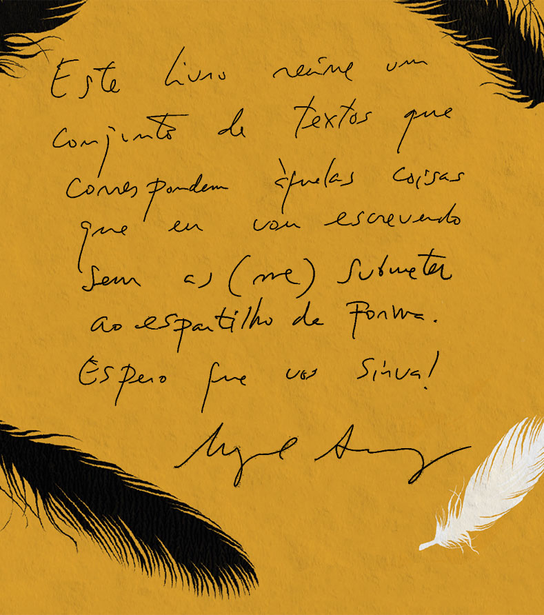 Penas de Pato ( Imagem 2 de 2 ) - Preview