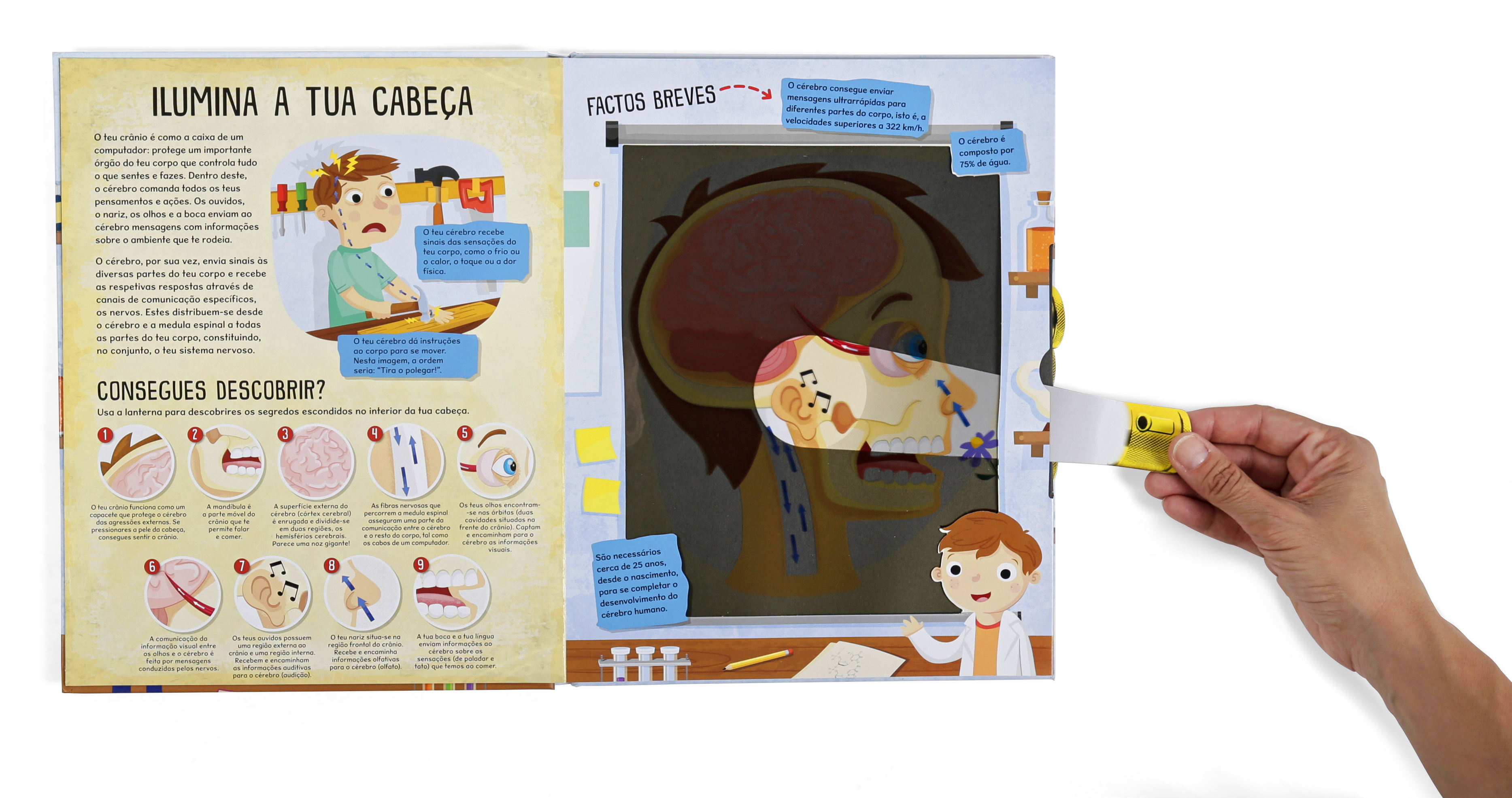 Corpo Humano - Livro com lanternas ( Imagem 2 de 2 ) - Preview