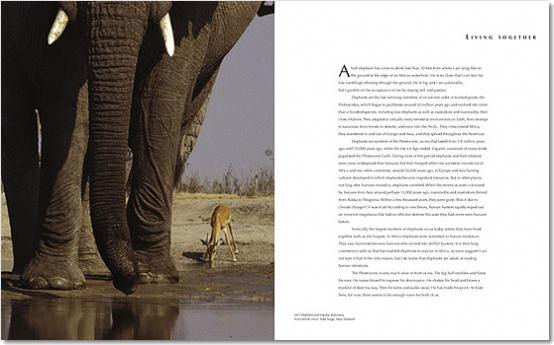Vida ( Imagem 2 de 4 ) - Preview