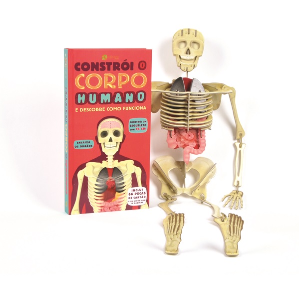 Constrói o Corpo Humano ( Imagem 2 de 2 ) - Preview