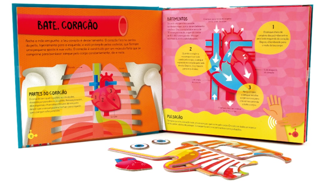 Super Puzzles - Corpo Humano ( Imagem 2 de 2 ) - Preview