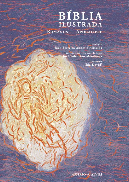 Bíblia Ilustrada - Volumes VII e VIII ( Imagem 2 de 2 ) - Preview