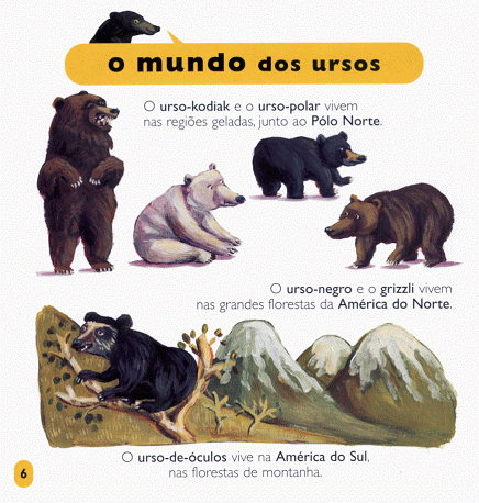 Os Ursos ( Imagem 2 de 2 ) - Preview