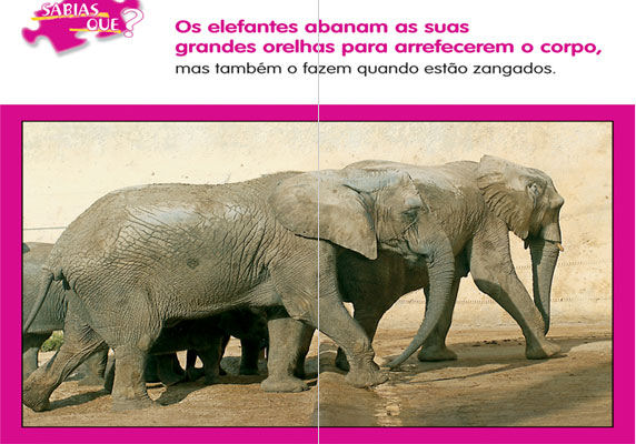 Animais de África - 5 Puzzles ( Imagem 2 de 4 ) - Preview