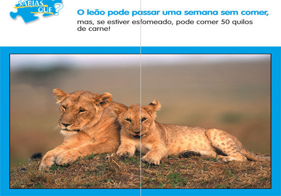 Animais de África - 5 Puzzles ( Imagem 3 de 4 ) - Preview