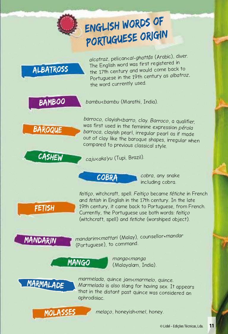 Flash Portuguese ( Imagem 2 de 2 ) - Preview