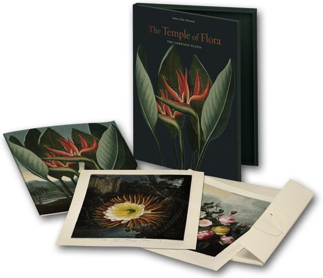 The Temple of Flora ( Imagem 2 de 4 ) - Preview