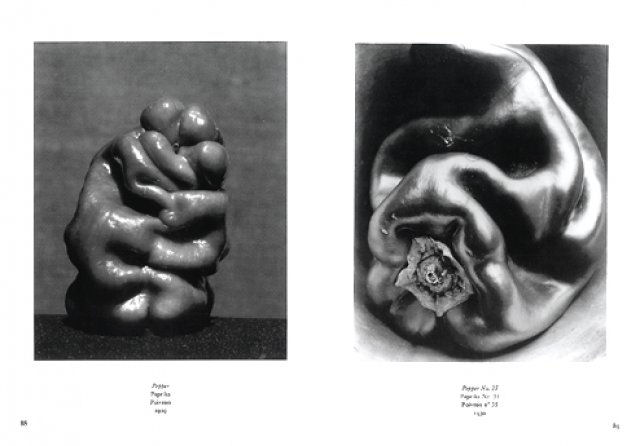 Edward Weston ( Imagem 3 de 4 ) - Preview