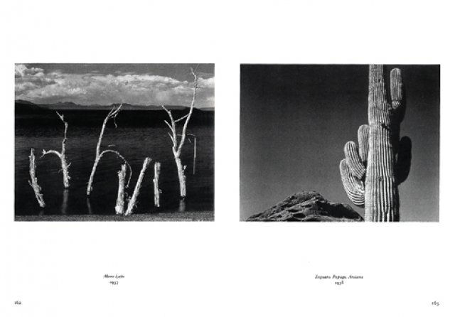 Edward Weston ( Imagem 4 de 4 ) - Preview