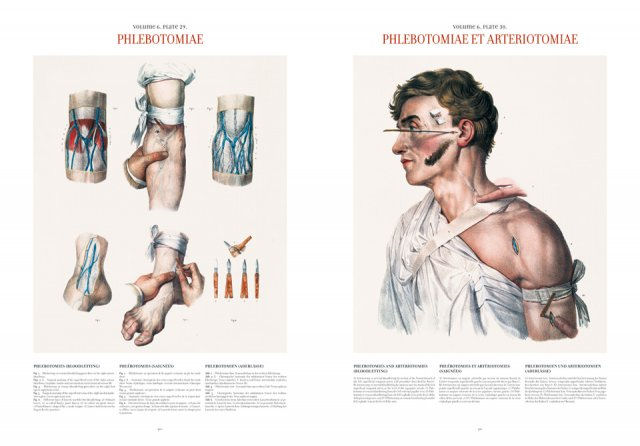 Atlas of Human Anatomy and Surgery de Henri Sick e Jean-Marie Le