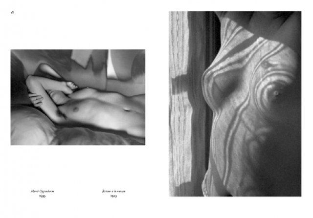 Man Ray ( Imagem 2 de 4 ) - Preview
