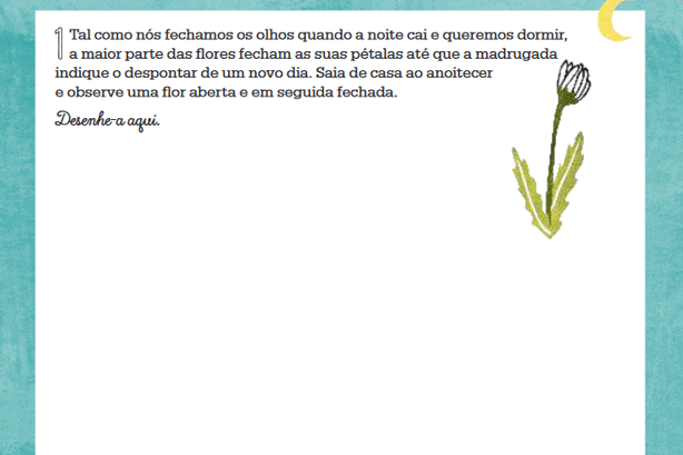 Imagens do interior