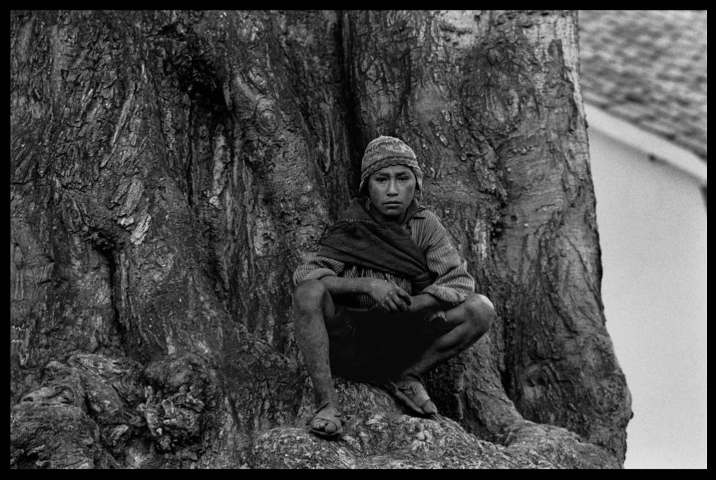 António Barreto ( Imagem 3 de 4 ) - Preview