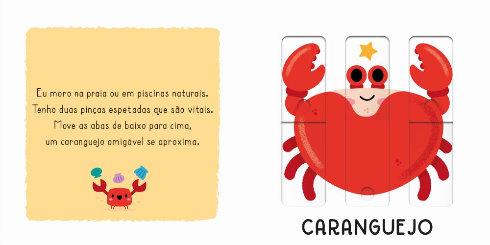 Animais do Oceano ( Imagem 2 de 2 ) - Preview