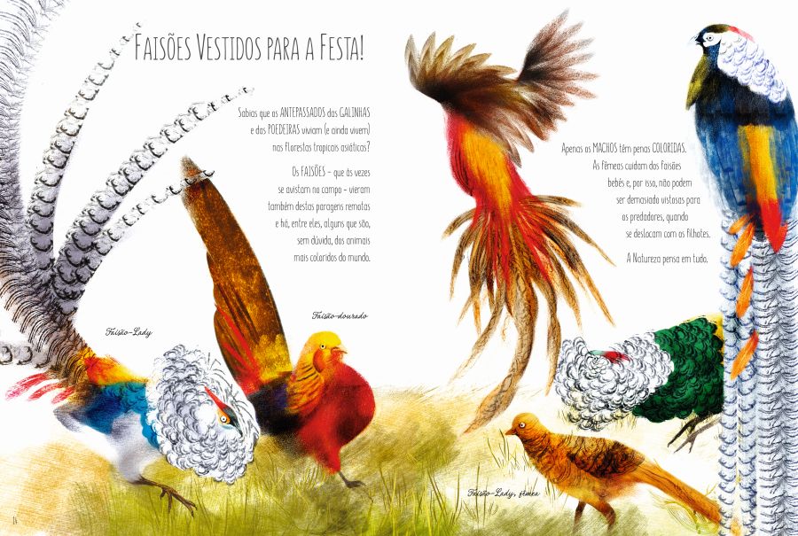 Wook.pt - Imagens do interior