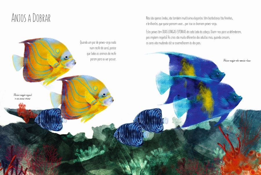 Wook.pt - Imagens do interior