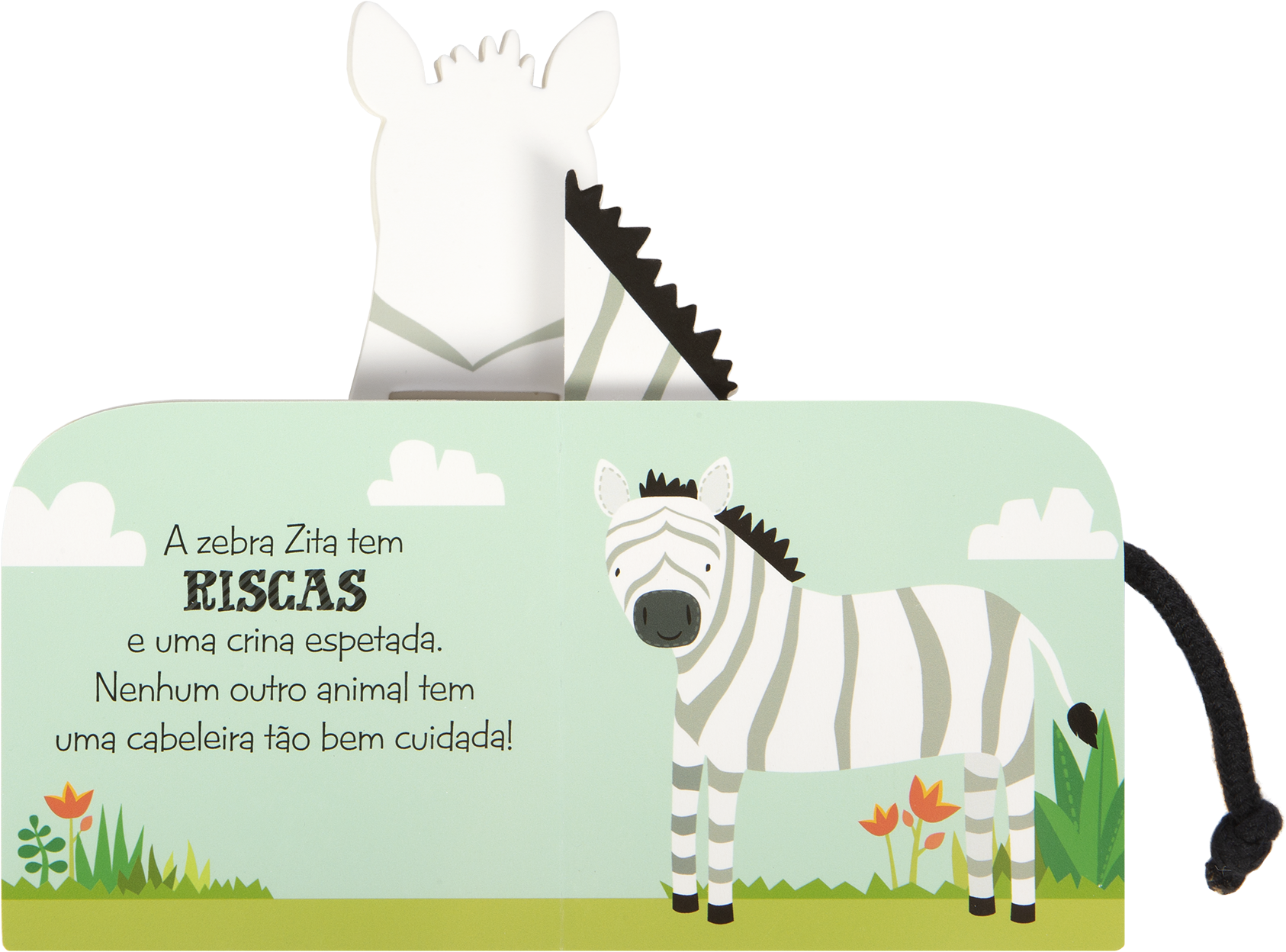 Zita, a zebra ( Imagem 2 de 2 ) - Preview