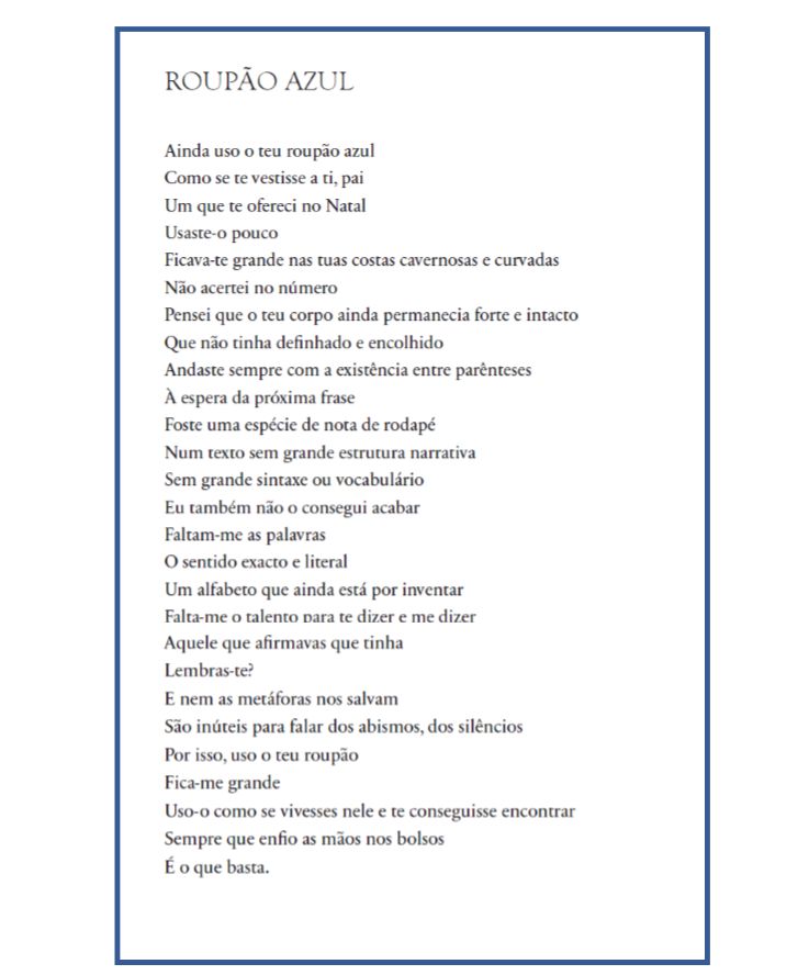 Roupão Azul ( Imagem 2 de 2 ) - Preview