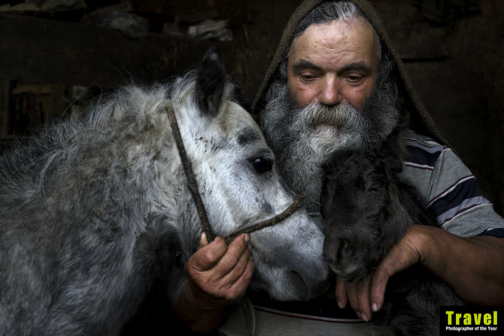 Ruralidades | Ruralities ( Imagem 4 de 4 ) - Preview