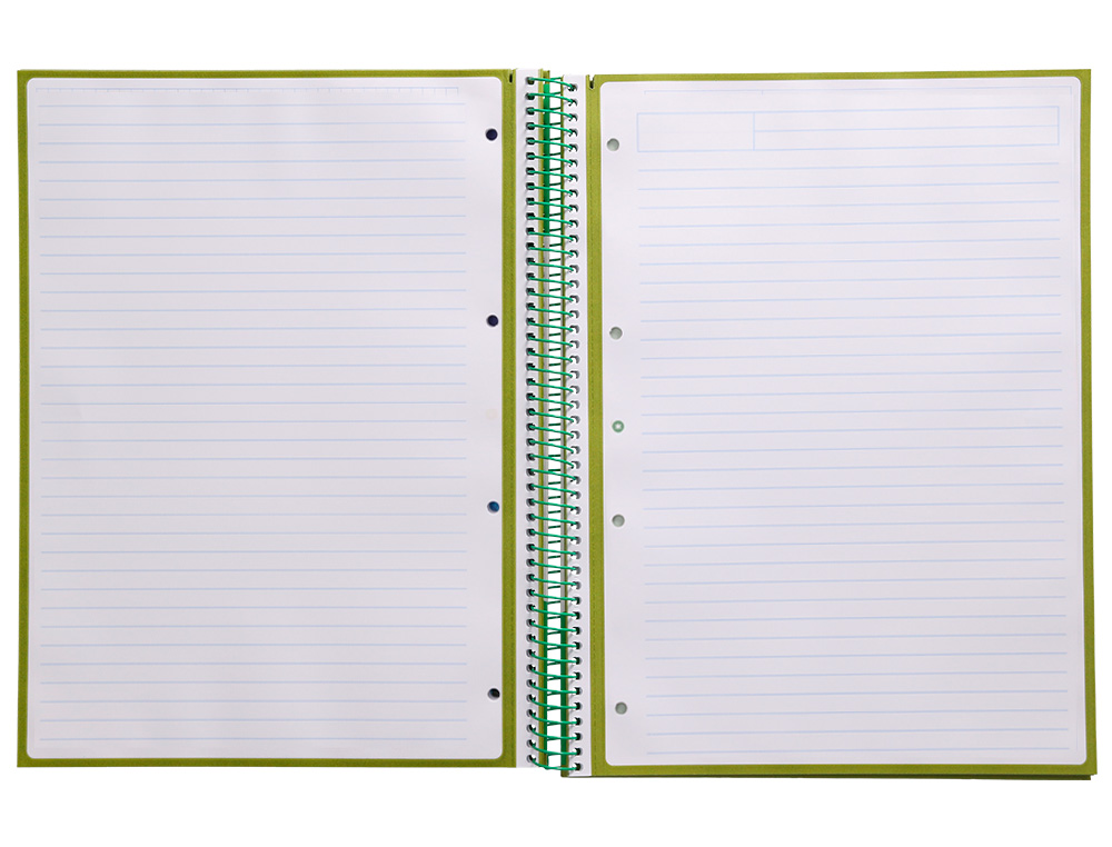 Caderno espiral liderpapel din a4 antartik capa forrada 80f 90 gr pautado 1 banda 4 furos cor verde ( Imagem 5 de 9 ) - Preview