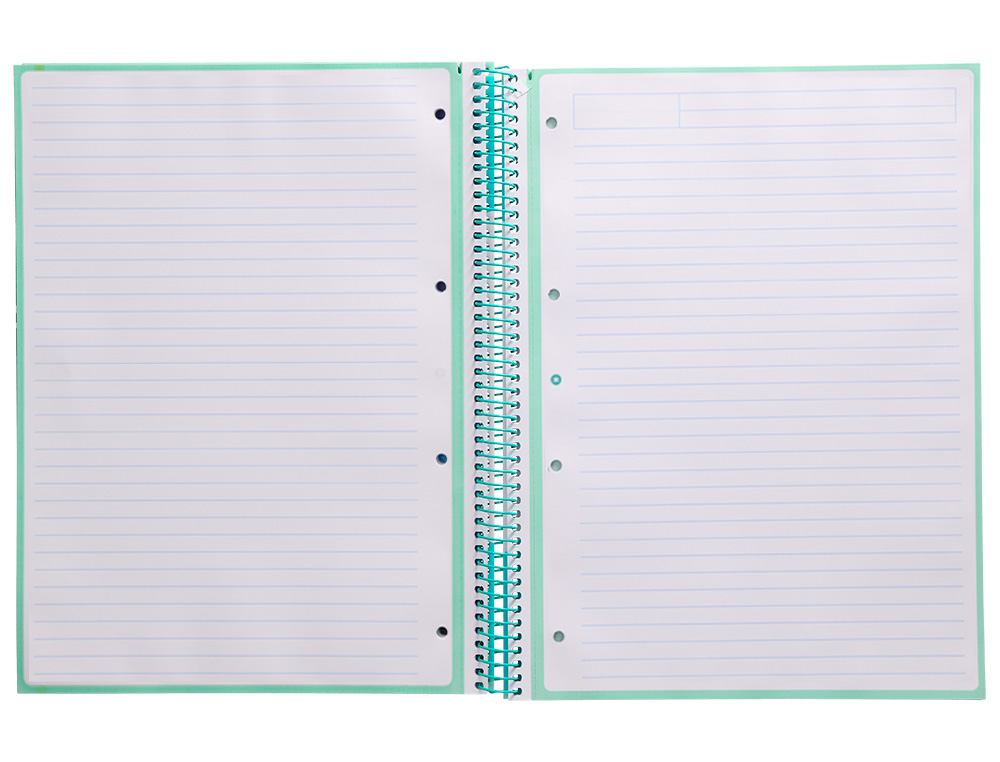 Caderno espiral liderpapel din a4 antartik capa forrada 80f 90 gr pautado 1 banda 4 furos cor menta ( Imagem 5 de 9 ) - Preview