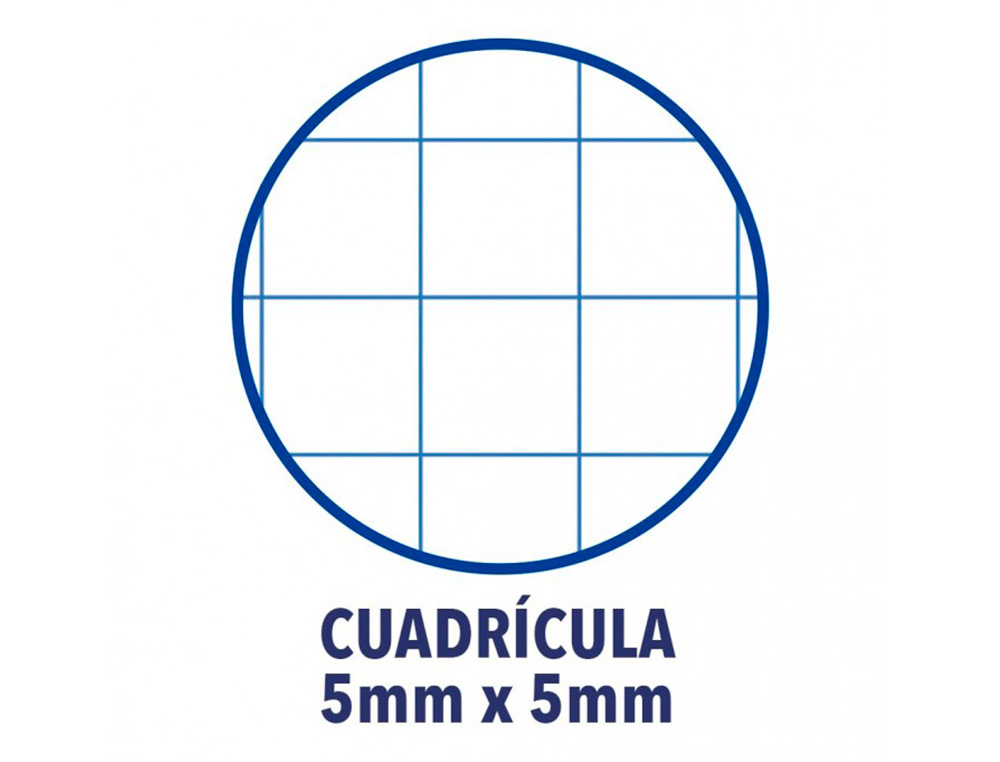 Recarga cor 1 oxford din a4+ 80 folhas 90 gr quadricula 5 mm 4 furos cor vermelho ( Imagem 5 de 6 ) - Preview