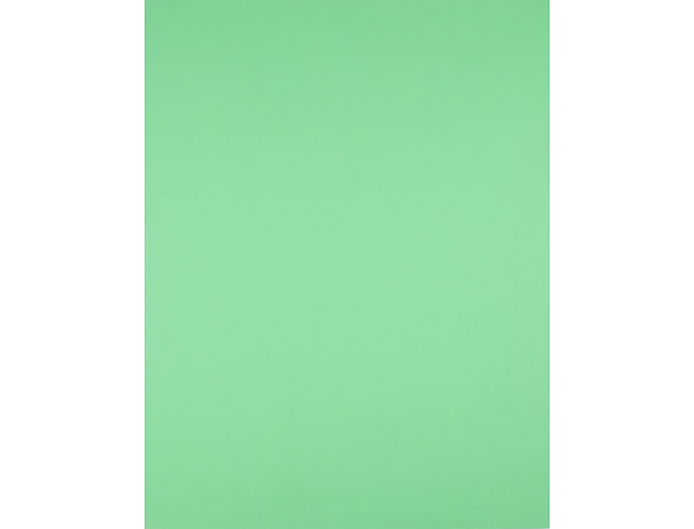 Cartolina liderpapel 50x65 cm 180 gr verde erva pack de 25 unidades ( Imagem 4 de 7 ) - Preview