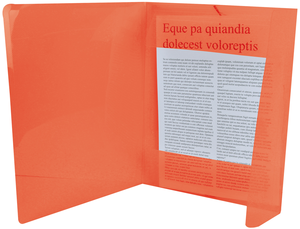 Pasta de elasticos polipropileno liderpapel din a4 vermelho ( Imagem 3 de 10 ) - Preview