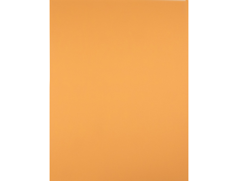 Cartolina liderpapel 50x65 cm 240 gr avela pack de 25 unidades ( Imagem 4 de 7 ) - Preview