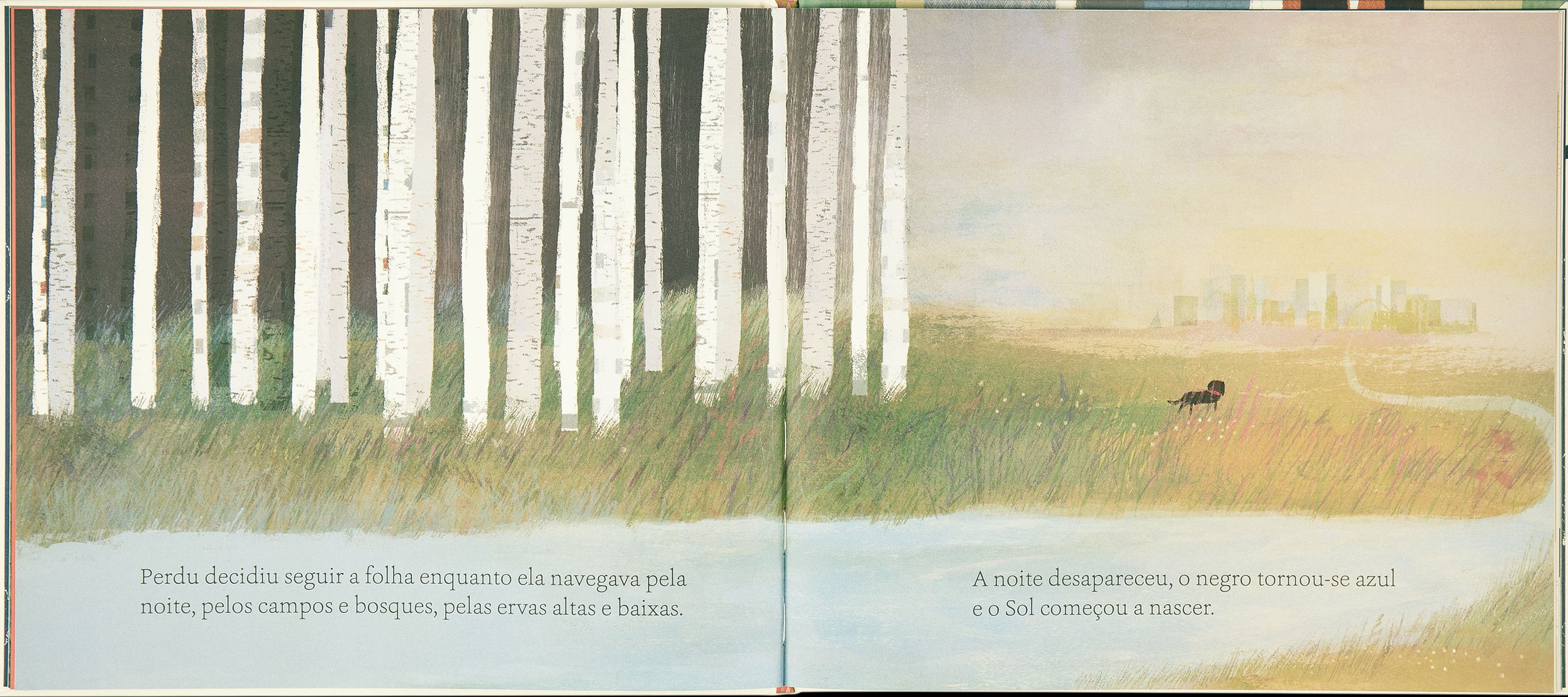 Perdu ( Imagem 2 de 4 ) - Preview