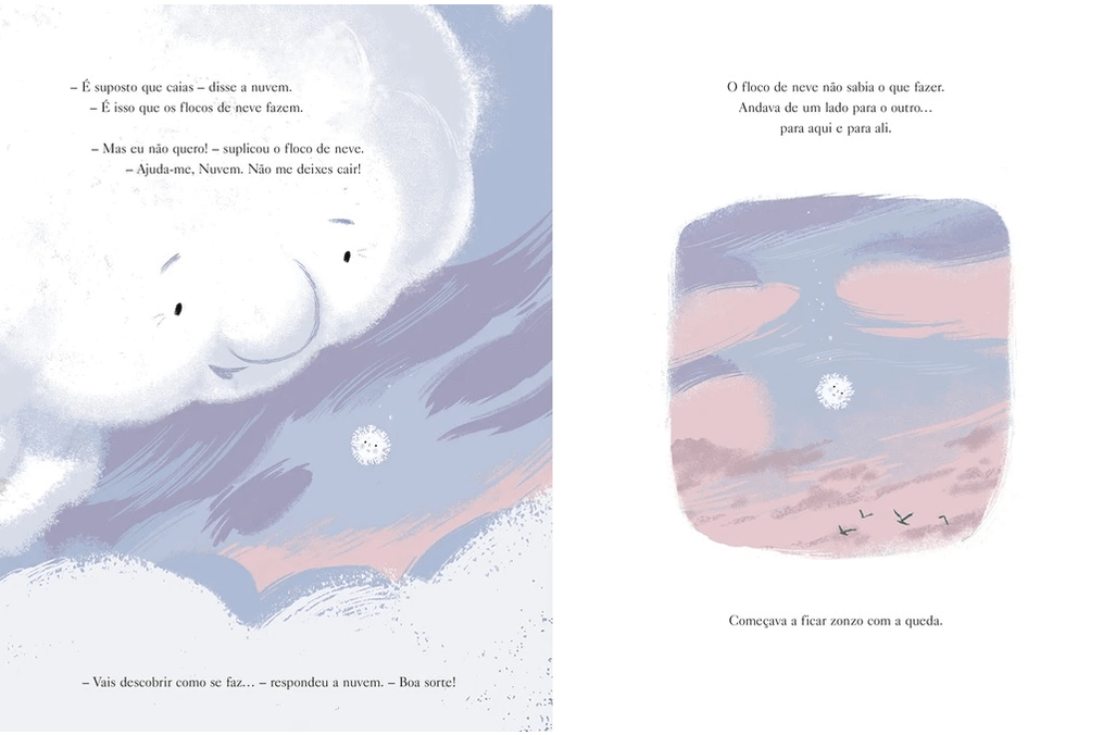 Floco de Neve ( Imagem 2 de 2 ) - Preview