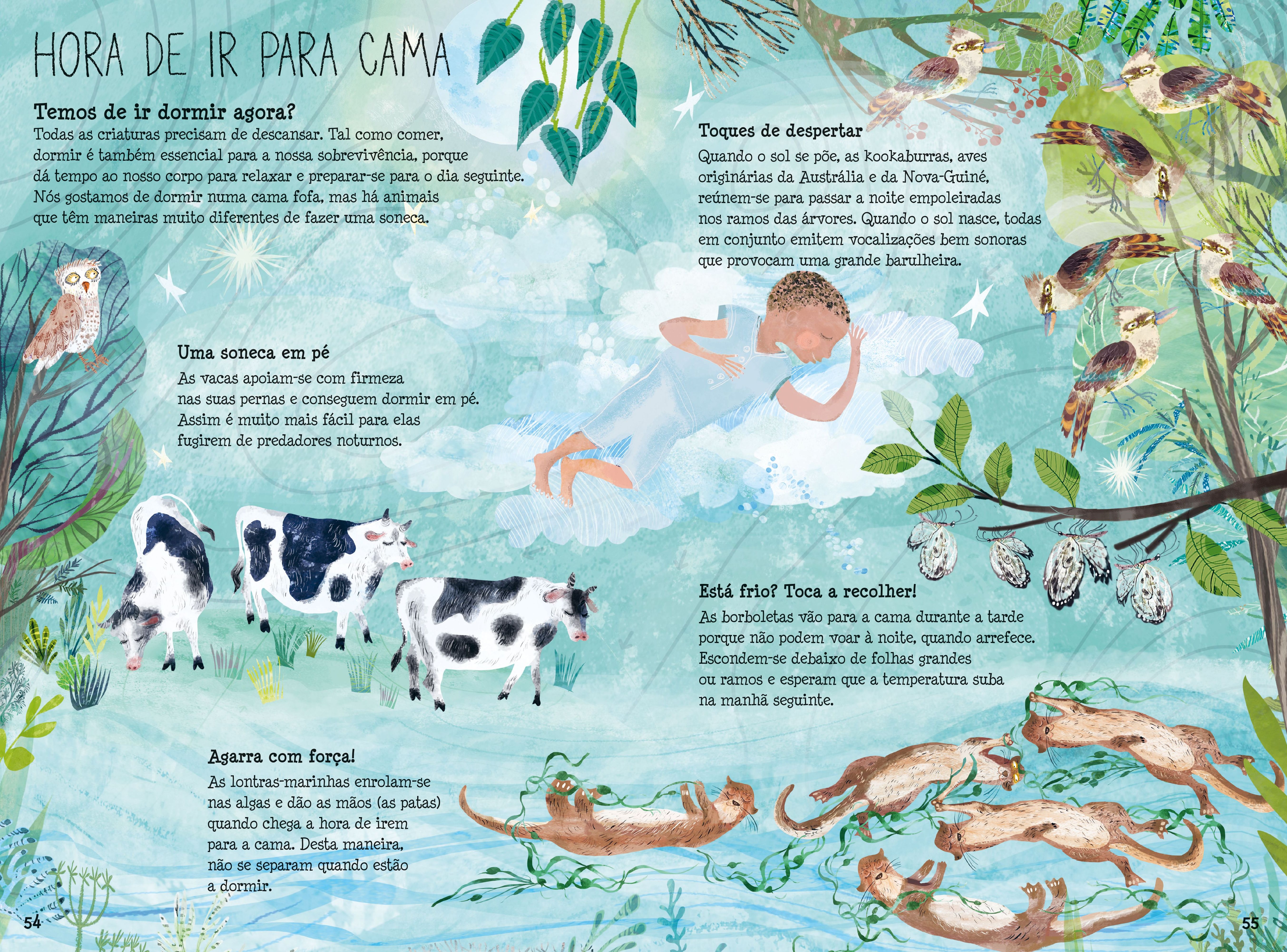 O Grande Livro da Vida ( Imagem 5 de 5 ) - Preview
