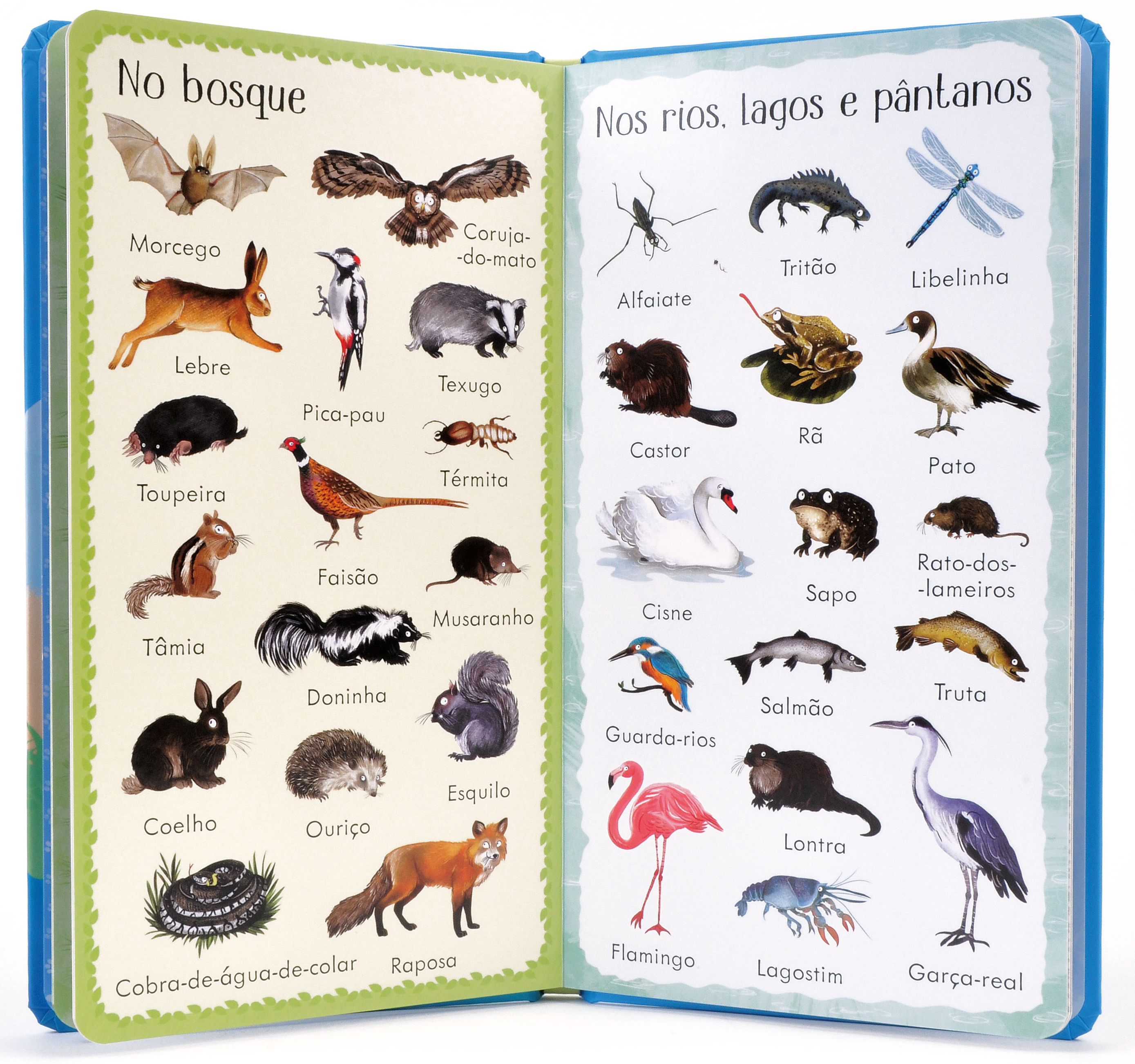 199 Animais ( Imagem 2 de 2 ) - Preview