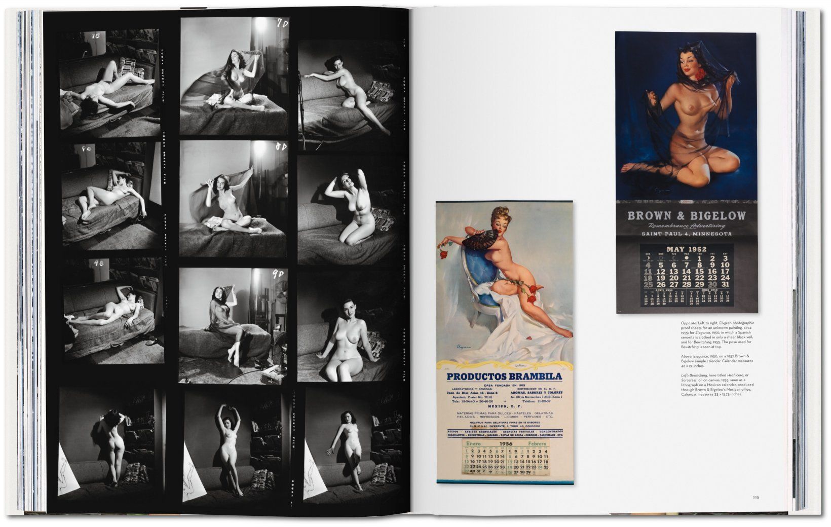 The Art of Pin-up ( Imagem 3 de 3 ) - Preview